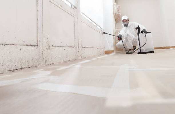 24/7 Emergency Mold Inspection experts in Marion, IL