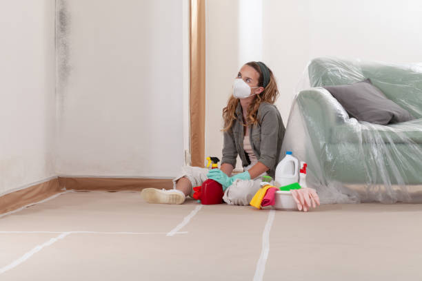 Reliable Mold Inspection contractor in Marion, IL by WQB Mold Removal